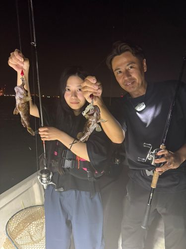 アコウの釣果