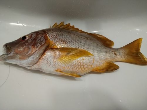熱田漁港