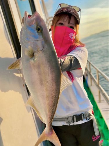 伊勢湾