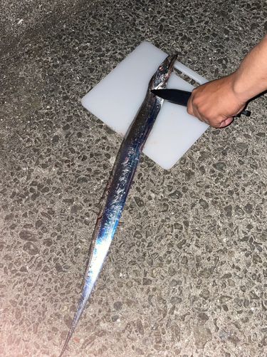 和歌浦湾