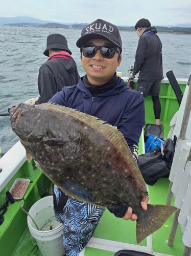 ヒラメの釣果