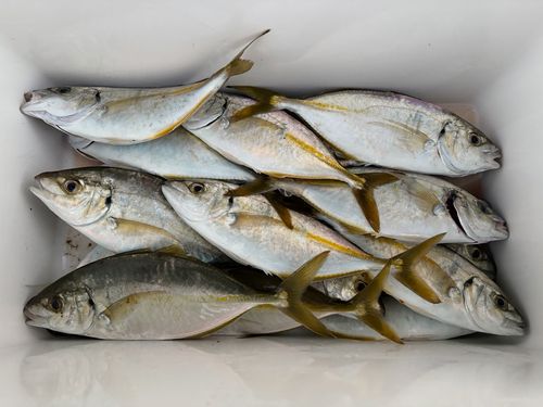 鹿島港魚釣園