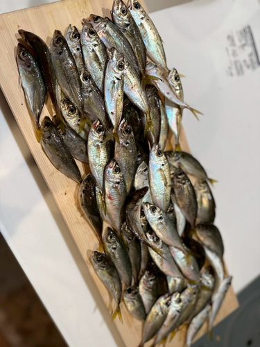 伊勢湾