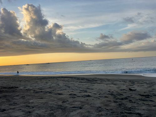 エイの釣果