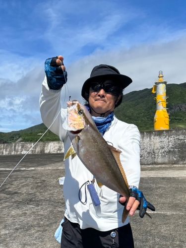 八丈島