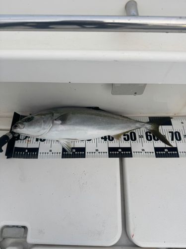 津軽海峡