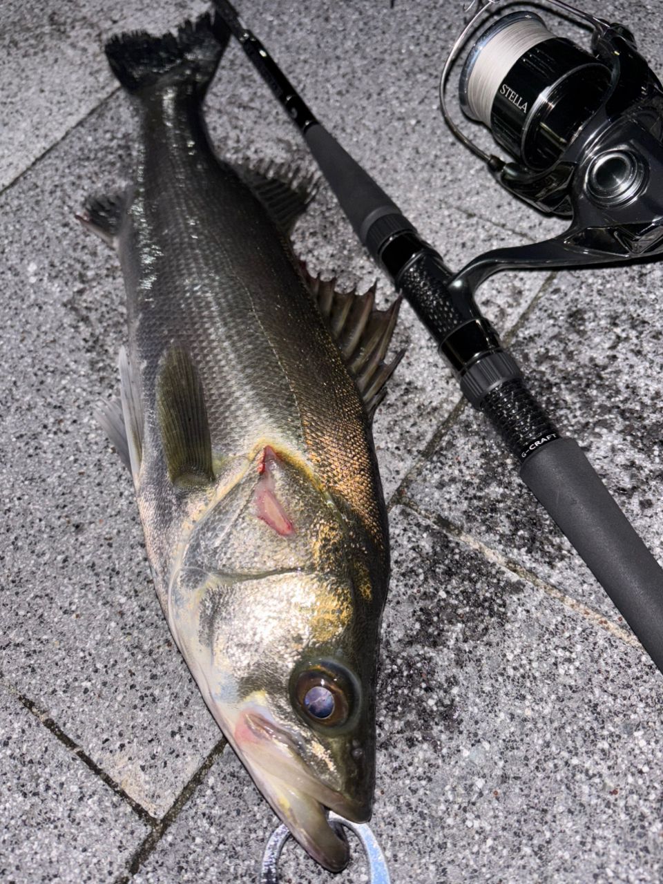 Gクラフト セブンセンスTR ミッドリバーMRS-982-TR ジークラフト セブンセンスTR ミッドリバー MRS-982-TR Zengake