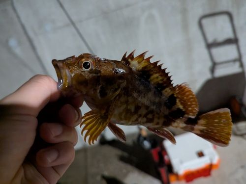 金沢水際線緑地（福浦岸壁）
