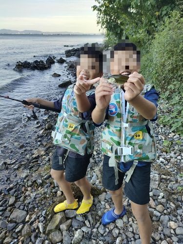 北湖西岸