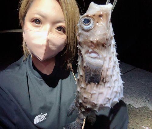 西伊豆