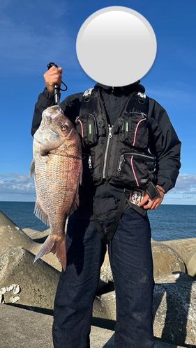 タイの釣果