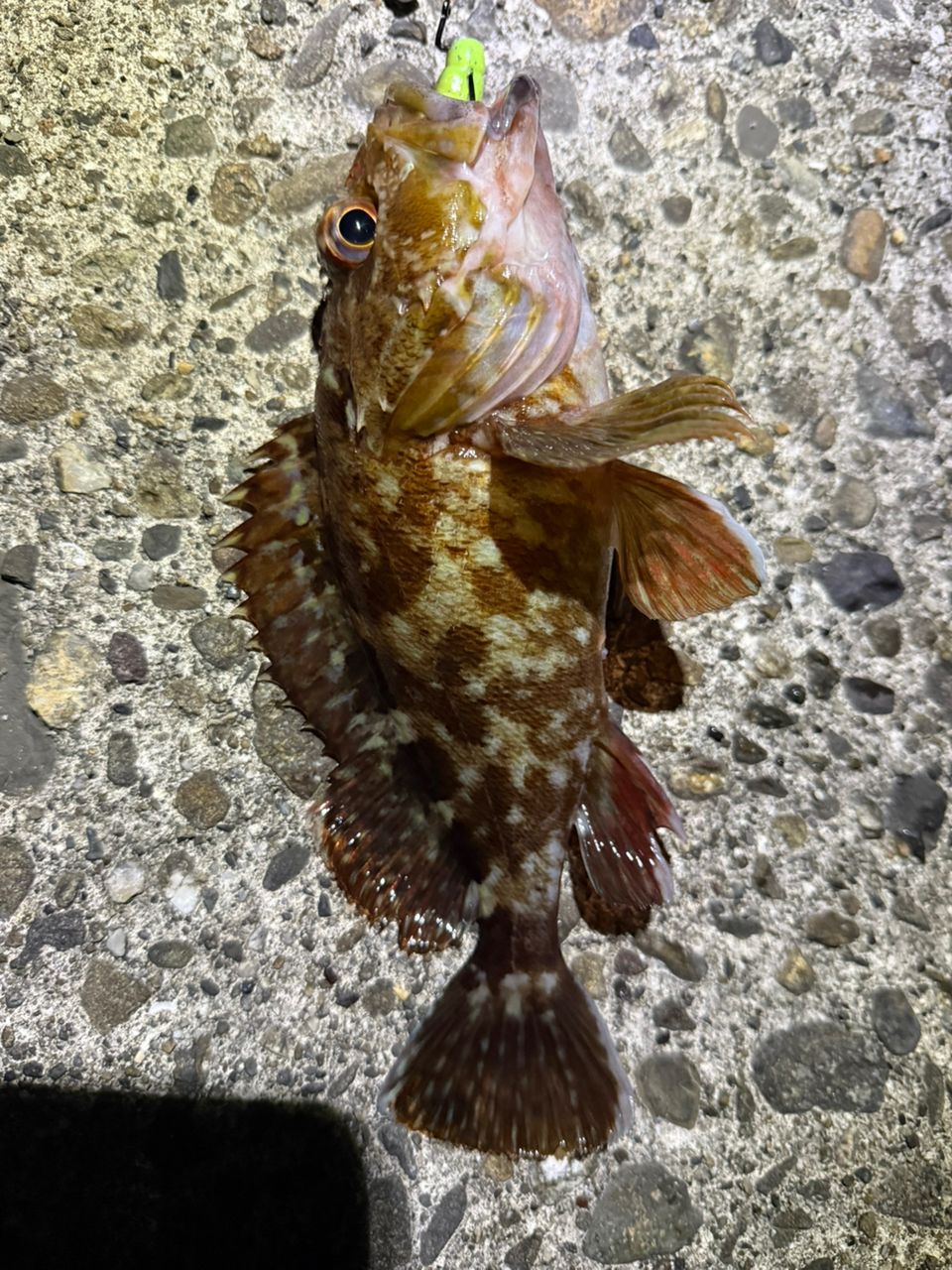 MajorCraft 23ロックライバー 5G RV5-902H/Bの最安値・インプレ