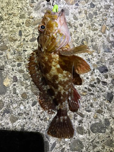 別府湾