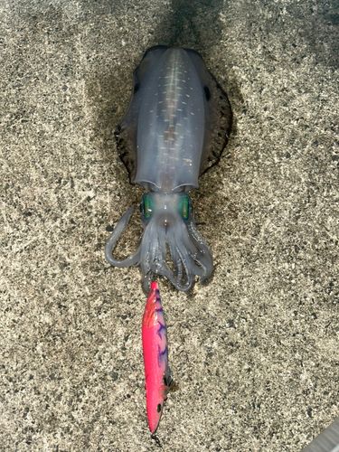 越前海岸