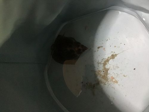 銚子マリーナ堤防
