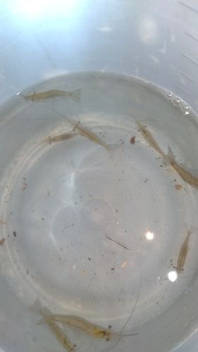 潜ヶ浦水道
