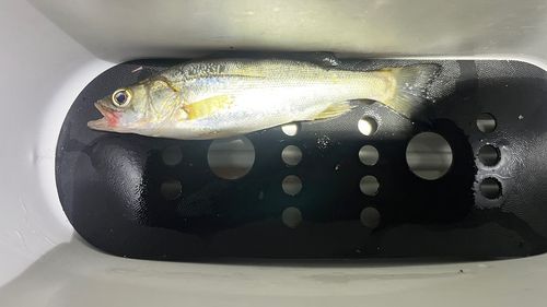 日本鋼管付近