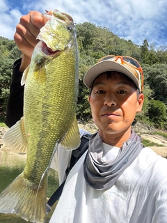 ラージマウスバスの釣果
