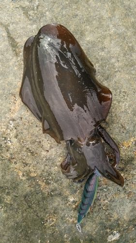 燧灘