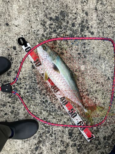 しまなみ海道