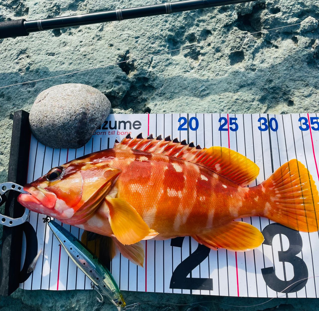 サーフトライブ STHS-1112MH imgrc0072627950.jpg