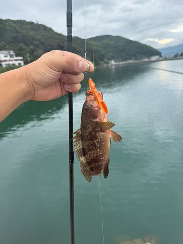 深江漁港