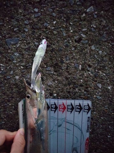 八景島
