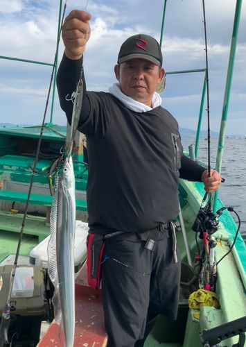 タチウオの釣果