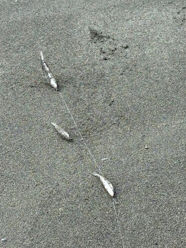 二宮海岸