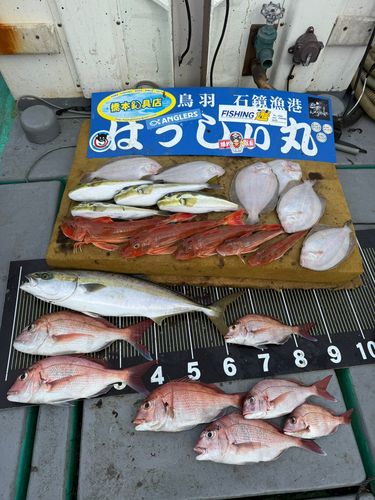 タイの釣果