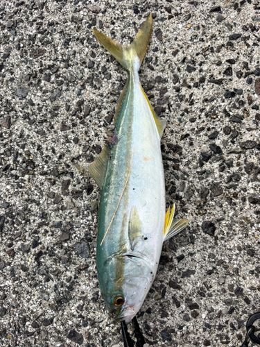 青海島