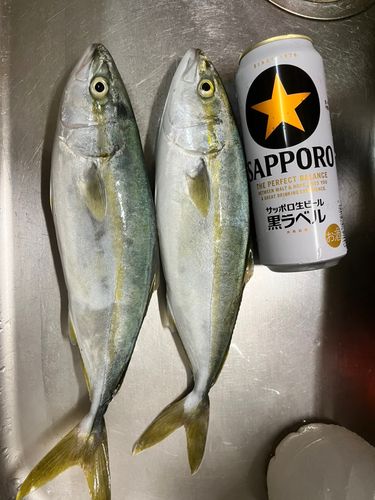 中田島サーフ