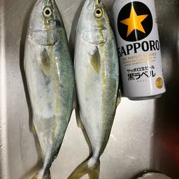 ワカシ