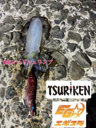 玄界灘