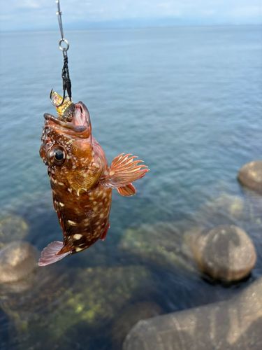 西伊豆