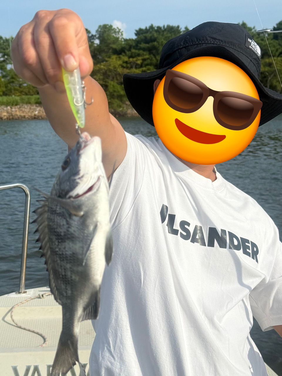 クロダイ