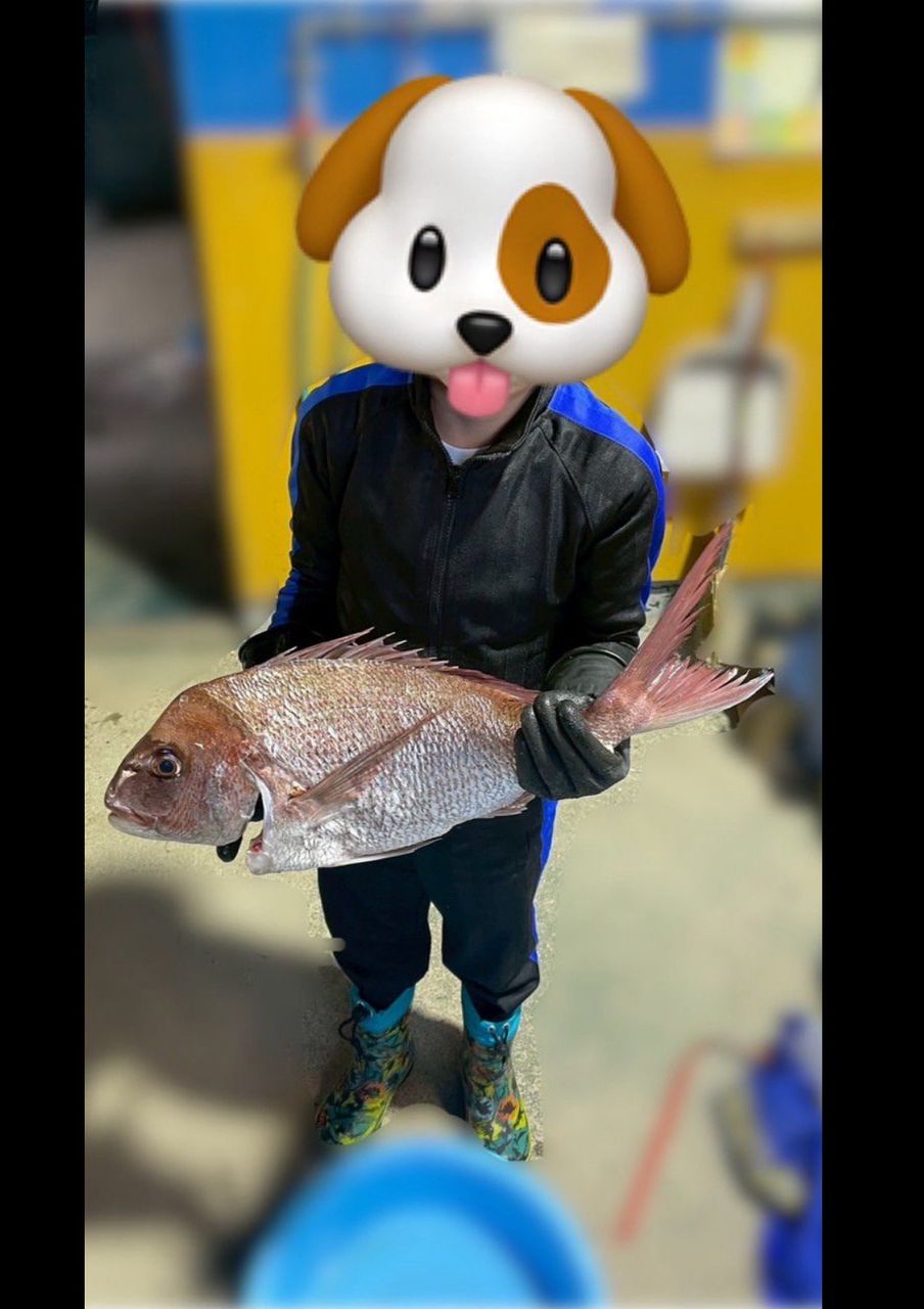マダイ