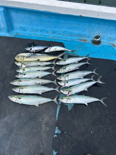 伊勢湾