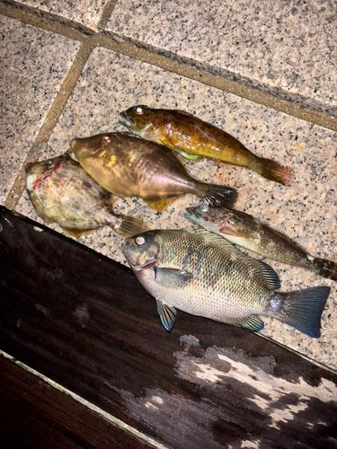 小名浜港アクアマリンふくしま周辺