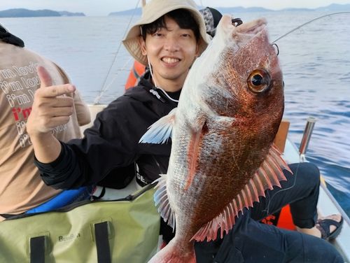マダイの釣果