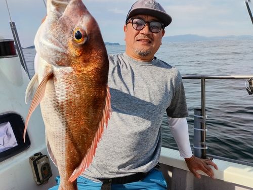 マダイの釣果