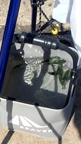 柏崎沖