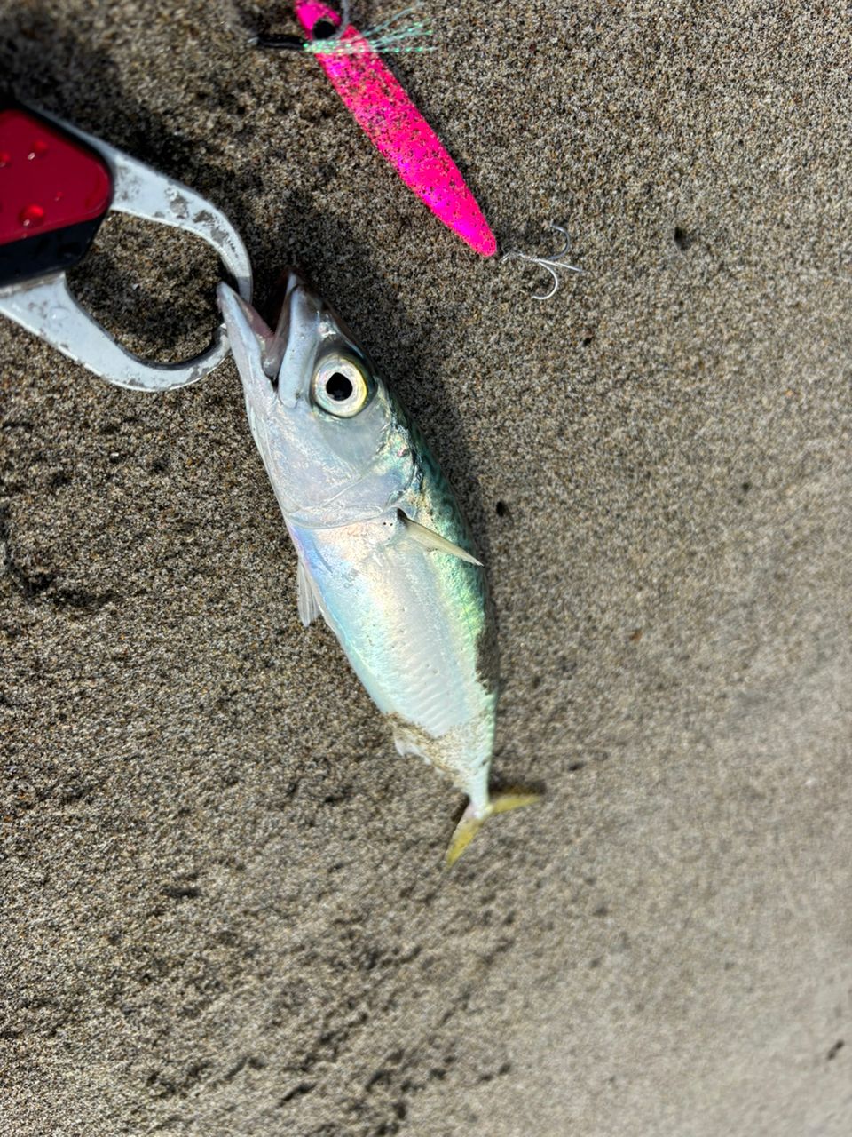 ジークラフトモンスターサーフ　MSS-1062-SR ジークラフト セブンセンス SR モンスターサーフ MSS-1062-SR