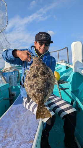 ヒラメの釣果