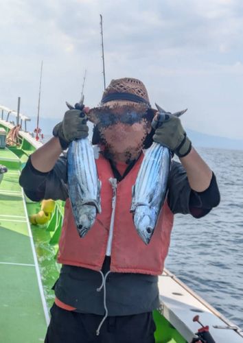相模湾