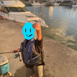 ミナミイケカツオ