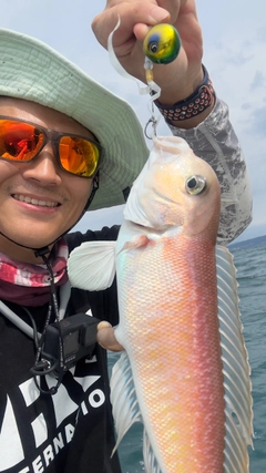 シロアマダイの釣果