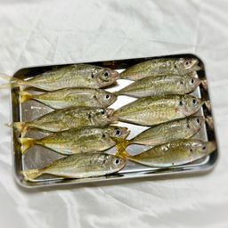 アジ