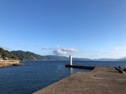 イカの釣果