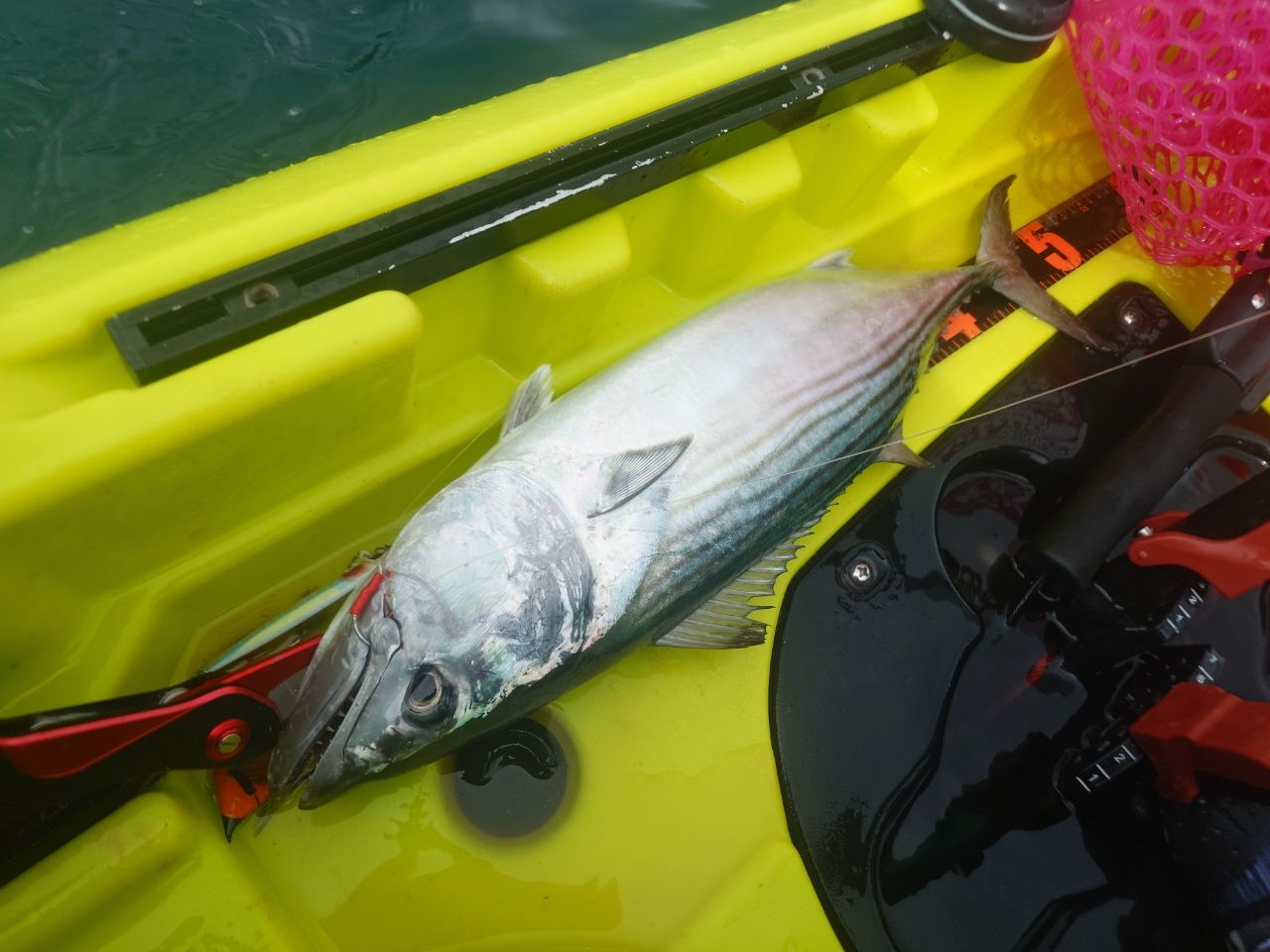 DAIWA 22紅牙 X 69MHS-Sの最安値・インプレ・釣果 | 本音の